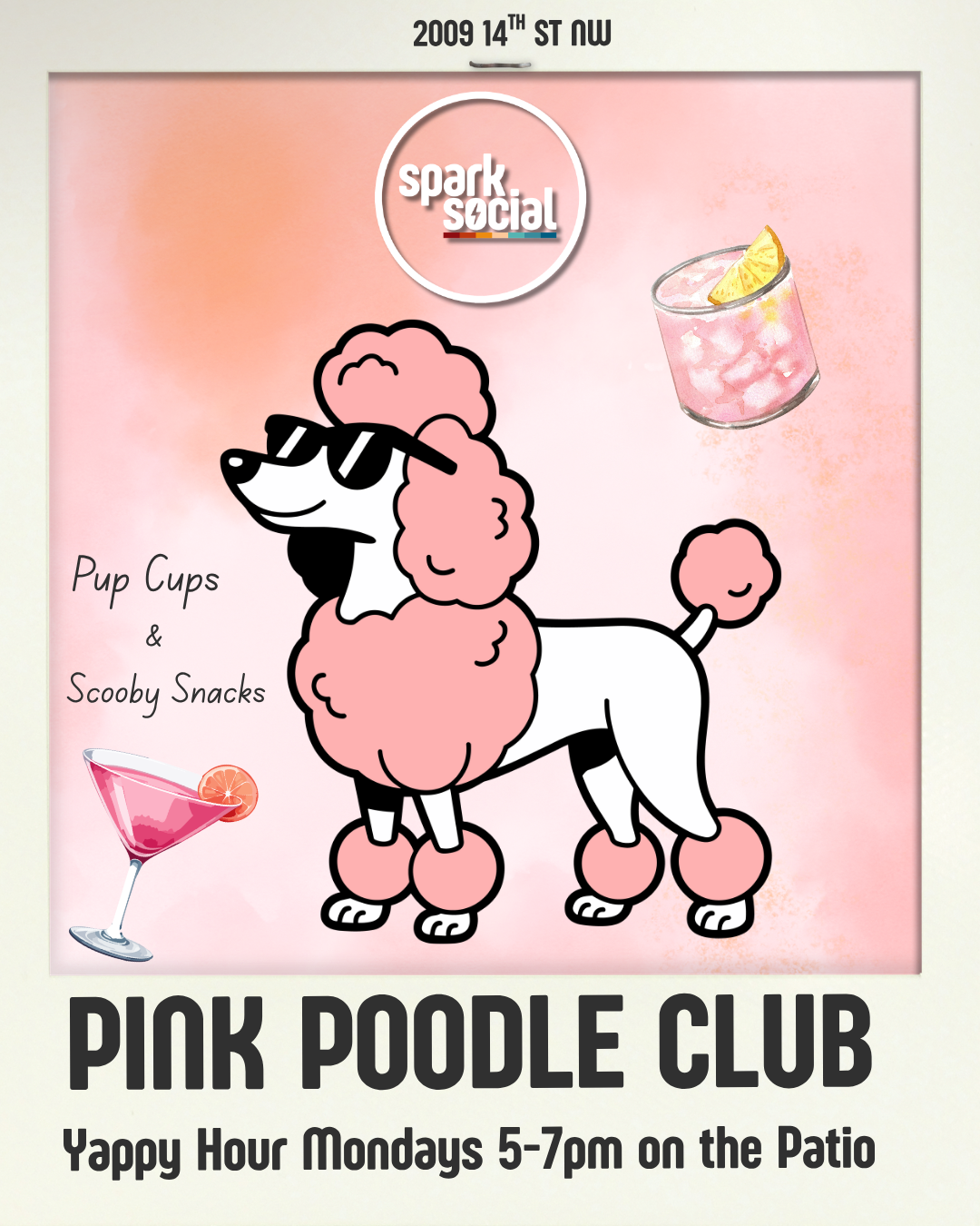 Pink Poodle Club